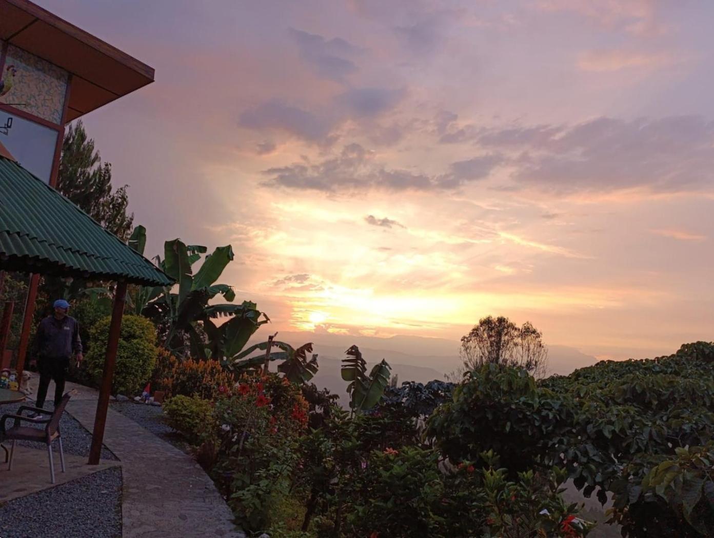 Mirador Finca Morrogacho Manizales Exterior foto
