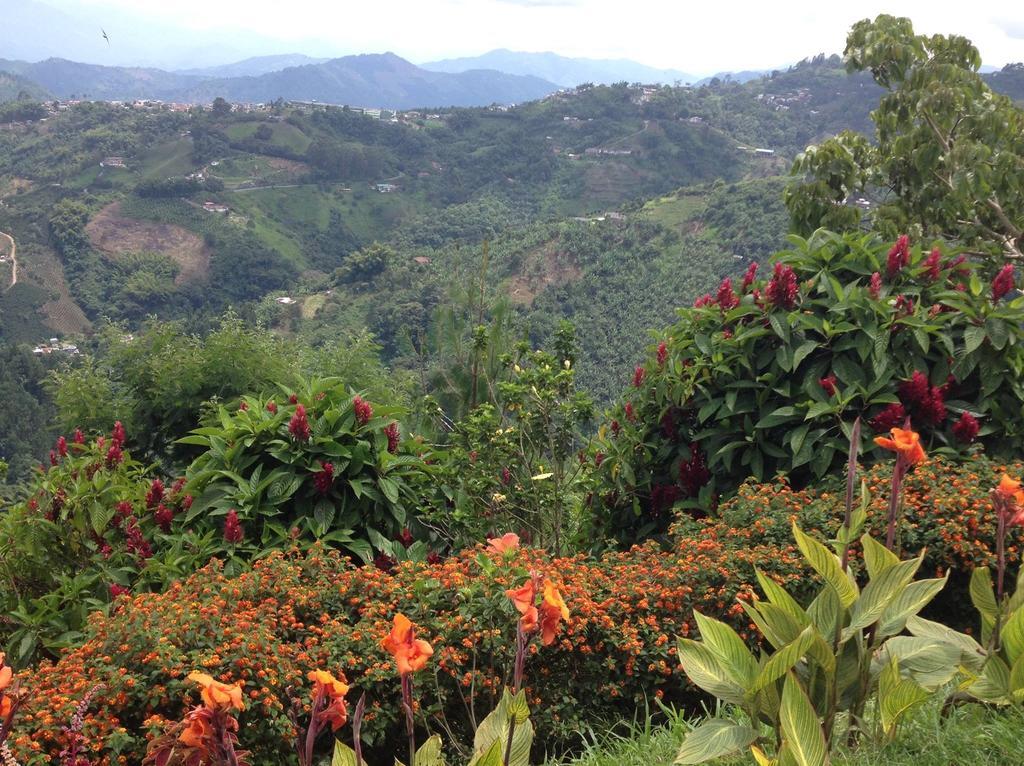 Mirador Finca Morrogacho Manizales Exterior foto
